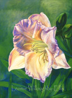 Drama Emotional Botanical