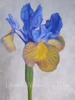 Emerging Emotional Botanical