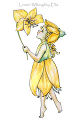 Kowhai Fairy