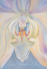 Sensual Emotional Botanical